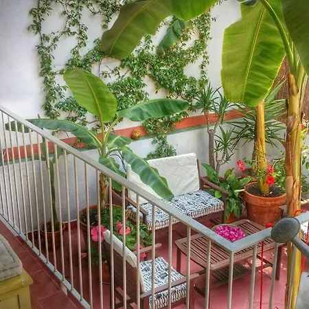 Preciosa Casa En El Centro Con Azotea Y Patio Apartment *