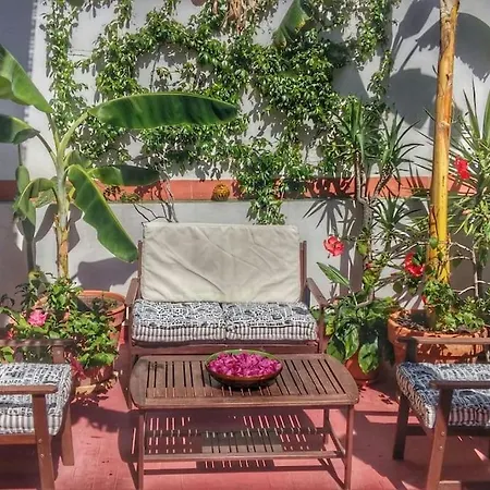 Preciosa Casa En El Centro Con Azotea Y Patio